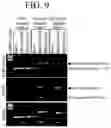Fig. 07 - RNA CAPPING METHOD, PRODUCTION METHOD FOR MODIFIED RNA, AND MODIFIED RNA