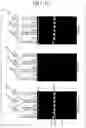Fig. 08 - RNA CAPPING METHOD, PRODUCTION METHOD FOR MODIFIED RNA, AND MODIFIED RNA