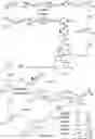Fig. 01 - Cells comprising mogroside pathway enzymes and uses thereof