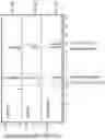 Fig. 07 - Cells comprising mogroside pathway enzymes and uses thereof