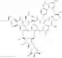 Fig. 32 - T5 exonuclease-based method to identify DNA topoisomerase inhibitors