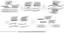 Fig. 02 - PROGRAMMABLE DNA-GUIDED ARTIFICIAL RESTRICTION ENZYMES