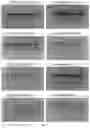 Fig. 08 - PROGRAMMABLE DNA-GUIDED ARTIFICIAL RESTRICTION ENZYMES