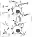 Fig. 23 - Methods and/or use of oligonucleotide conjugates for assays and flow cytometry detections