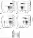 Fig. 32 - Methods and/or use of oligonucleotide conjugates for assays and flow cytometry detections