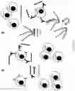 Fig. 34 - Methods and/or use of oligonucleotide conjugates for assays and flow cytometry detections