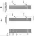 Fig. 40 - Methods and/or use of oligonucleotide conjugates for assays and flow cytometry detections