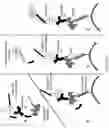 Fig. 45 - Methods and/or use of oligonucleotide conjugates for assays and flow cytometry detections