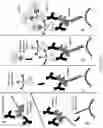 Fig. 46 - Methods and/or use of oligonucleotide conjugates for assays and flow cytometry detections
