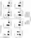 Fig. 56 - Methods and/or use of oligonucleotide conjugates for assays and flow cytometry detections