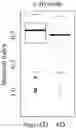 Fig. 01 - BIOMARKER COMPOSITION, DIAGNOSTIC KIT, AND METHOD FOR PROVIDING INFORMATION