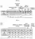 Fig. 10 - METHOD FOR DIAGNOSING CANCER USING CFDNA