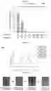 Fig. 101 - METHOD FOR DIAGNOSING CANCER USING CFDNA
