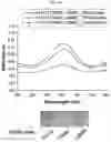 Fig. 111 - METHOD FOR DIAGNOSING CANCER USING CFDNA