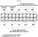 Fig. 115 - METHOD FOR DIAGNOSING CANCER USING CFDNA