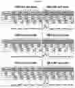 Fig. 48 - METHOD FOR DIAGNOSING CANCER USING CFDNA