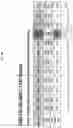 Fig. 55 - METHOD FOR DIAGNOSING CANCER USING CFDNA