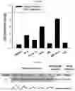 Fig. 58 - METHOD FOR DIAGNOSING CANCER USING CFDNA