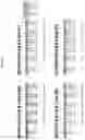Fig. 80 - METHOD FOR DIAGNOSING CANCER USING CFDNA