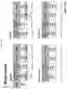 Fig. 90 - METHOD FOR DIAGNOSING CANCER USING CFDNA