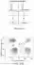 Fig. 33 - Compositions comprising riboregulators and methods of use thereof