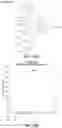 Fig. 44 - Compositions comprising riboregulators and methods of use thereof