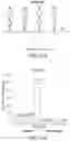 Fig. 49 - Compositions comprising riboregulators and methods of use thereof
