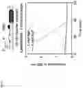Fig. 08 - RIBOSWITCH-BASED FLUORIDE SENSING IN CELL-FREE EXTRACT