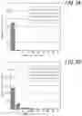 Fig. 06 - Grain-oriented electrical steel sheet and production method therefor