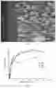 Fig. 07 - TREATMENT METHOD FOR ZIRCONIUM ALLOY AND APPLICATION