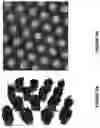 Fig. 06 - Three-dimensional nano-patterns