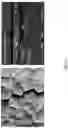 Fig. 02 - Tantalum carbide-coated carbon material and method for manufacturing same