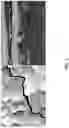 Fig. 04 - Tantalum carbide-coated carbon material and method for manufacturing same
