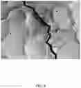 Fig. 05 - Tantalum carbide-coated carbon material and method for manufacturing same