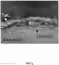 Fig. 07 - Tantalum carbide-coated carbon material and method for manufacturing same