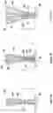 Fig. 04 - ABRASIVE BLAST MODIFICATION OF SURFACES