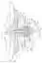 Fig. 07 - Laundry washing apparatus