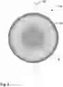 Fig. 05 - METHOD OF MANUFACTURING A MOULDED PULP PRODUCT AND PULP MOULDING APPARATUS