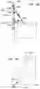 Fig. 30 - Stay-in-Place Forms and Methods and Equipment for Installation Thereof