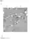 Fig. 02 - DECORATIVE MATERIAL