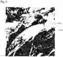 Fig. 07 - DECORATIVE MATERIAL