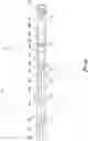 Fig. 06 - Active magnetic ranging while drilling