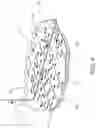 Fig. 05 - Continuous circulating concentric casing managed equivalent circulating density (ECD) drilling for methane gas recovery from coal seams