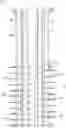Fig. 01 - Plastic weight assembly for downhole perforating gun