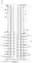 Fig. 03 - Plastic weight assembly for downhole perforating gun