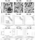 Fig. 18 - TRACERS FOR PETROLEUM RESERVOIRS