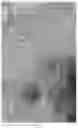Fig. 20 - 3D in-situ characterization method for heterogeneity in generating and reserving performances of shale
