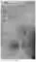 Fig. 26 - 3D in-situ characterization method for heterogeneity in generating and reserving performances of shale