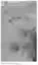 Fig. 27 - 3D in-situ characterization method for heterogeneity in generating and reserving performances of shale