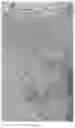 Fig. 29 - 3D in-situ characterization method for heterogeneity in generating and reserving performances of shale